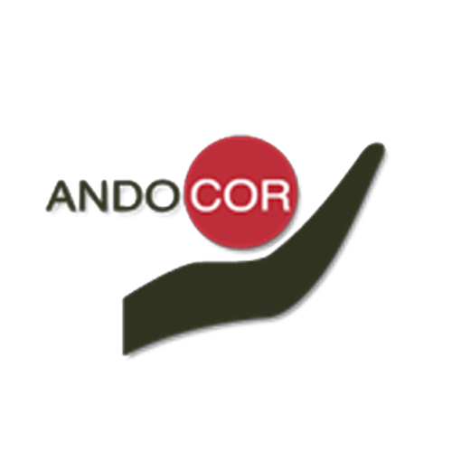 Andocor